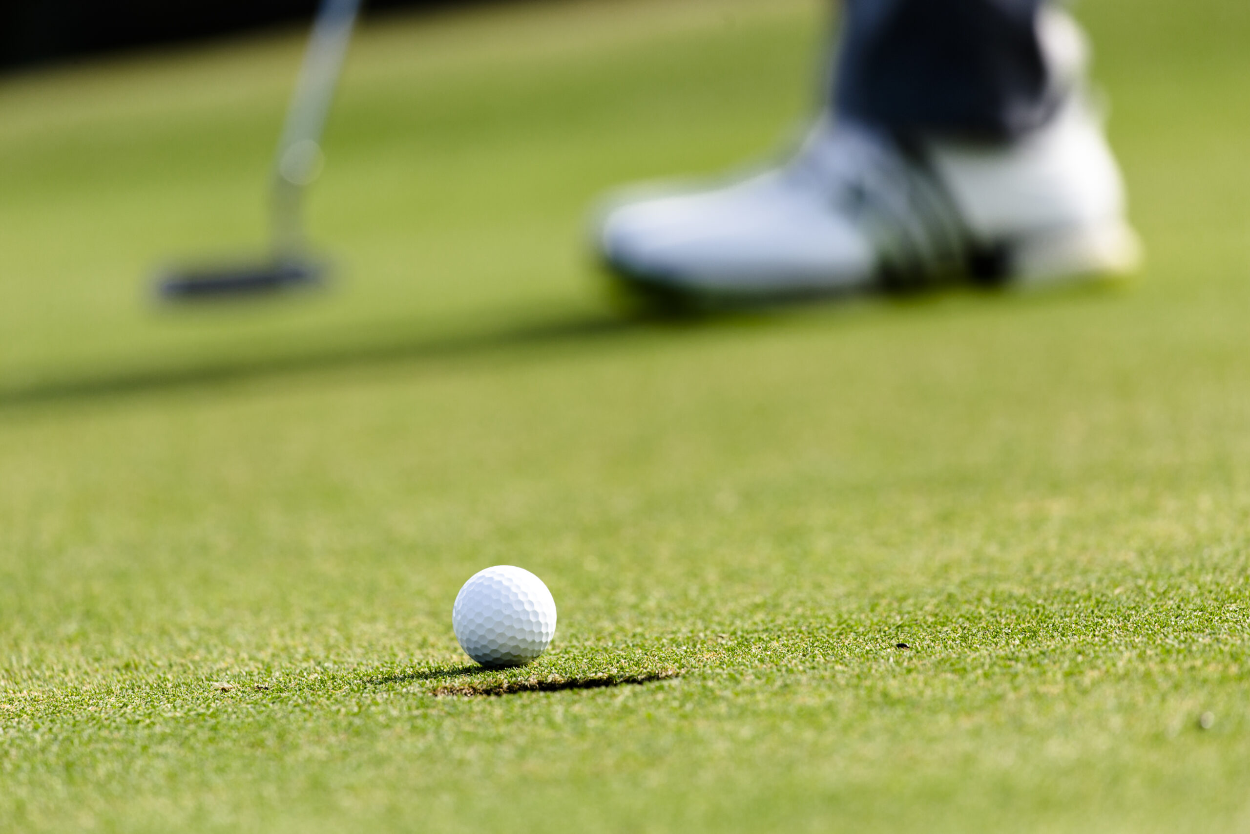 golf putting green