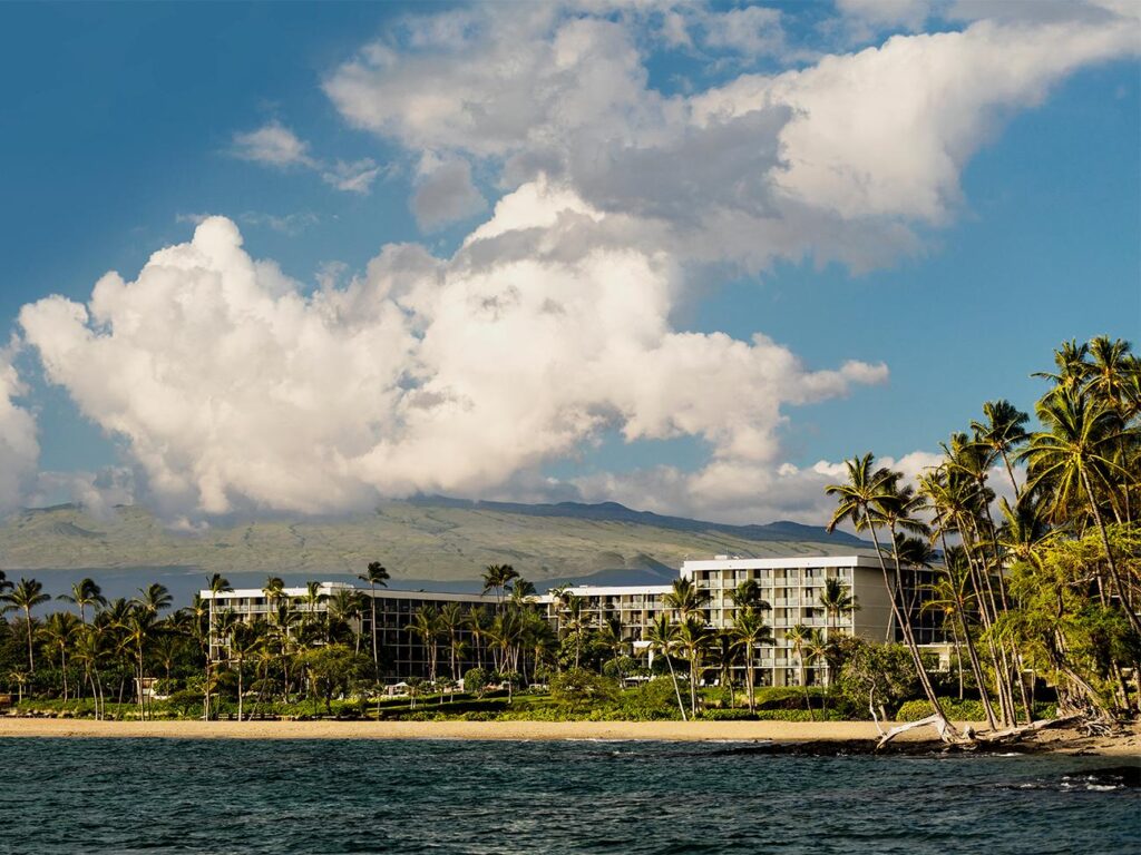 Waikoloa beach view with palm trees